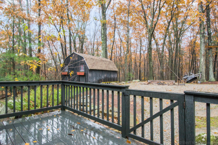 backyard of Carey.png