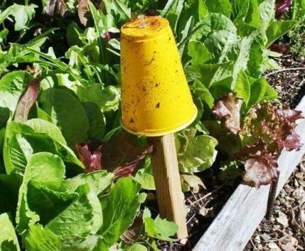 7e5ca65504ab3620dace97eea91f9946