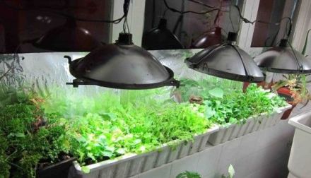 a52d6bfa4dcdd67538e9c3368e407f77