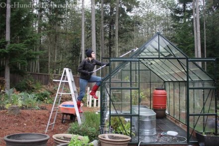 Cleaning-and-Disinfecting-the-Greenhouse-for-Winter-Gardening