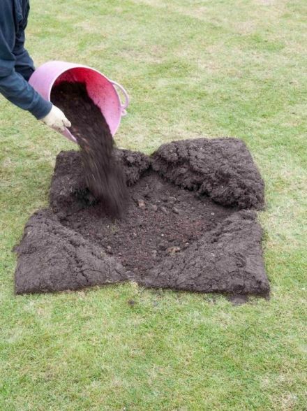 05a4e527593ada8c2020eff71b998bd8